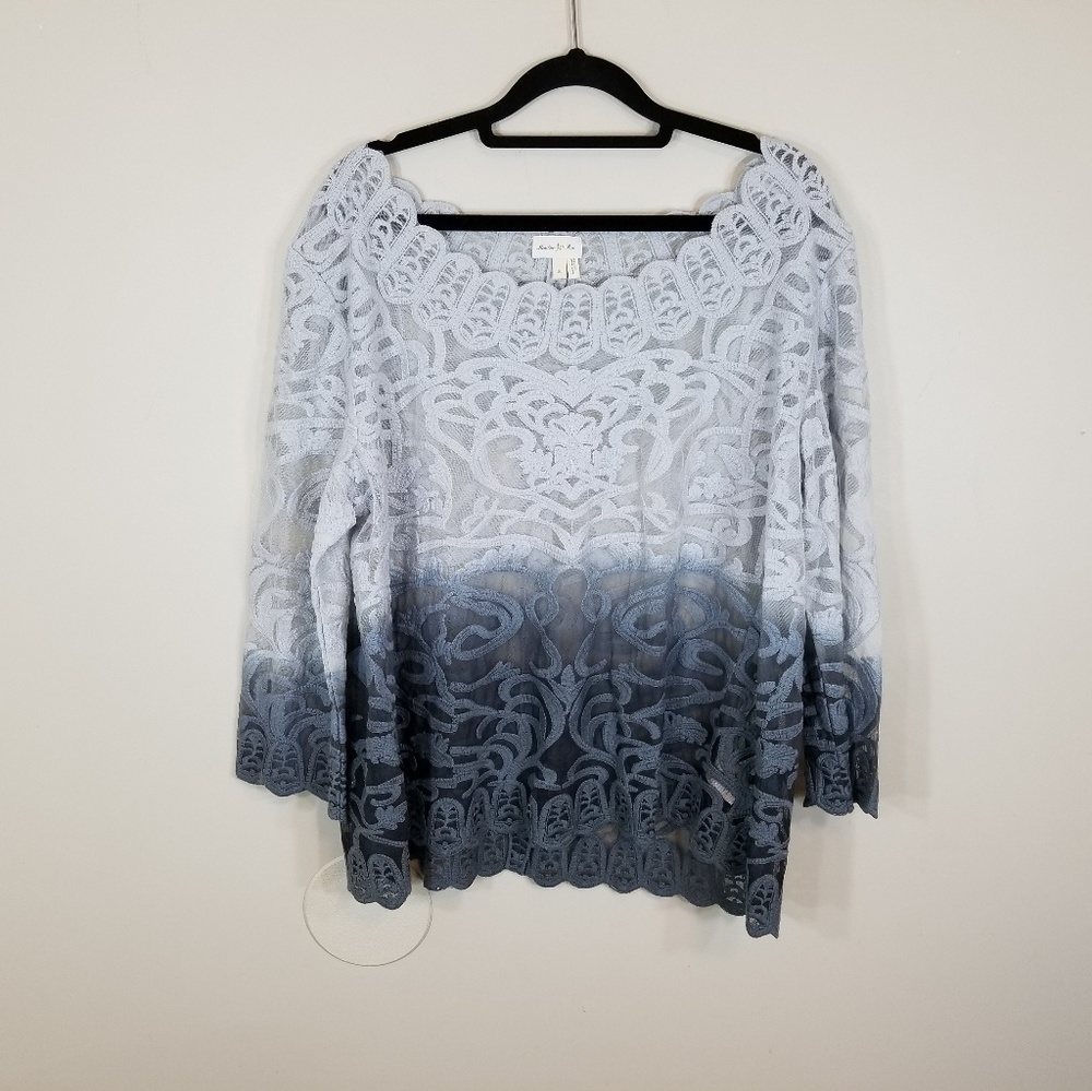 Meadow Rue Anthropologie Ombre Lace Top Tunic